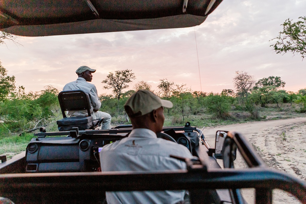 cheetah plains safari lodge sabi sands lodges 10