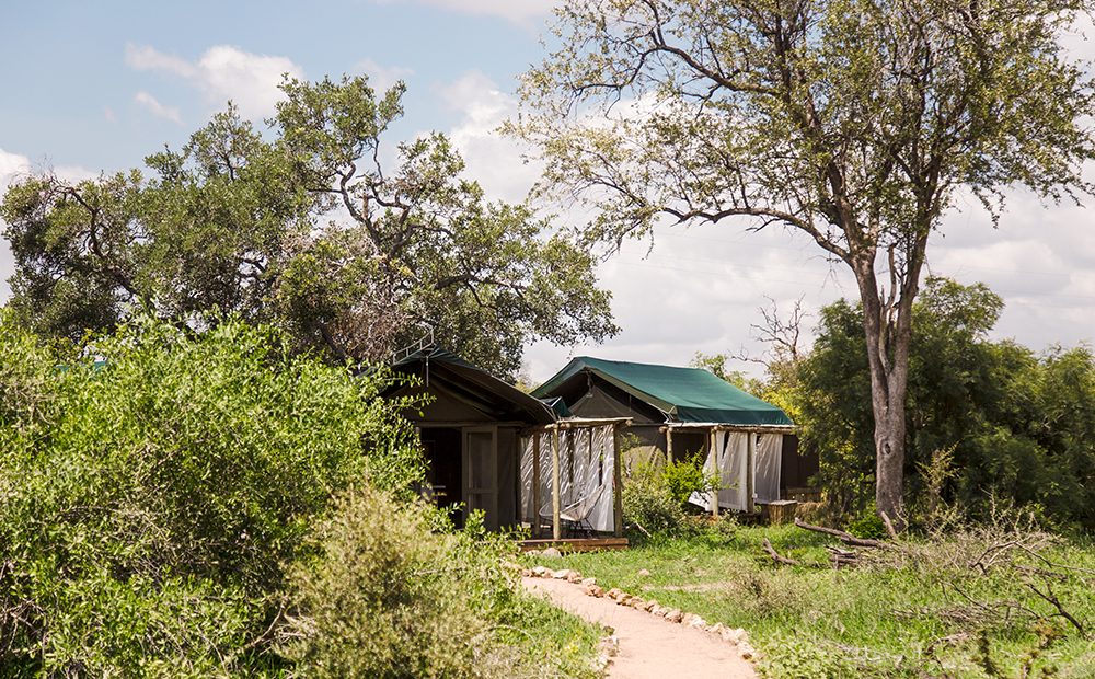 Simbavati RiverLodge images 41
