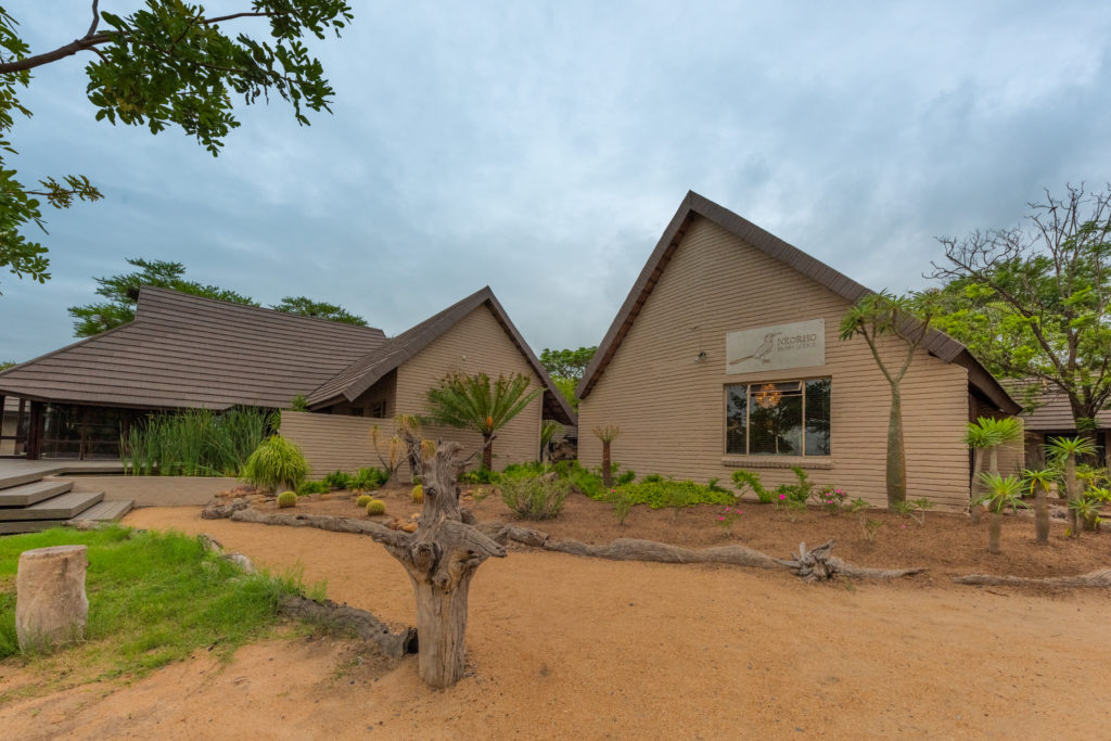 nkorho bush lodge images sabi sands 16
