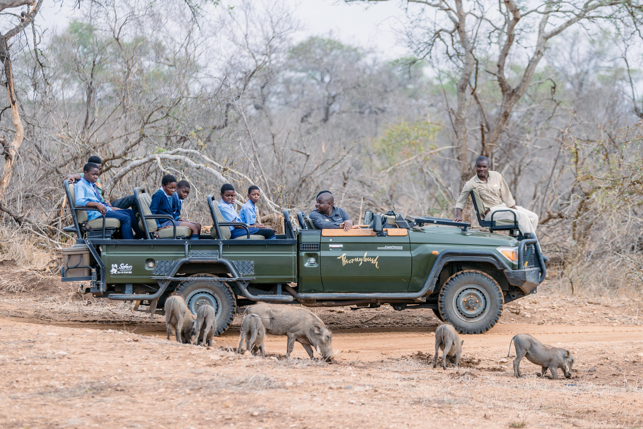 thornybush game lodge images 5