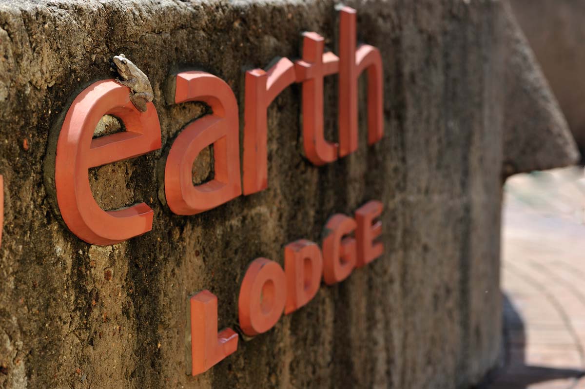 Earth Lodge sabi sabi image 30