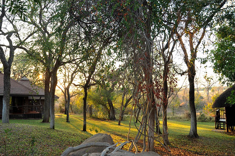 Idube Safari Lodge Images 7