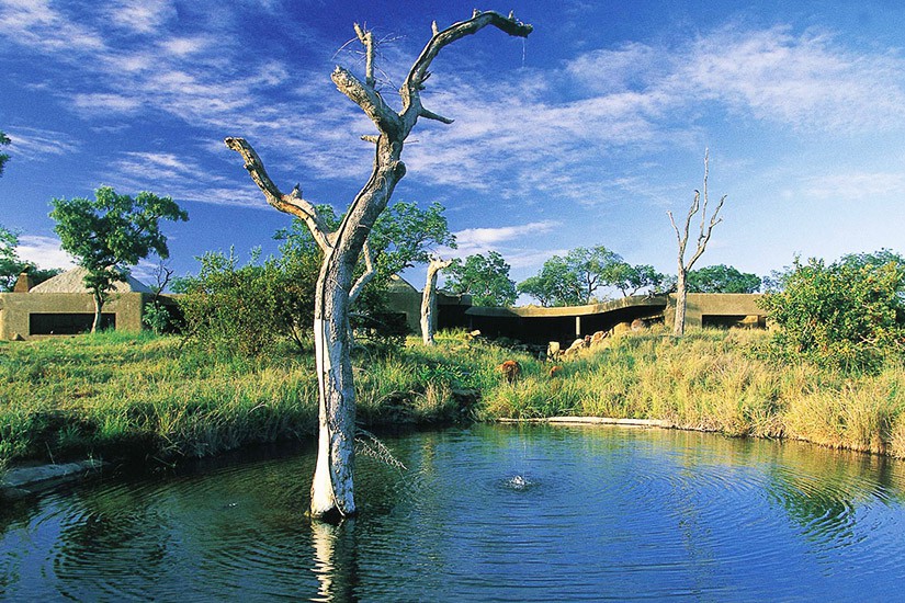 Sabi Sabi Earth Lodge 6
