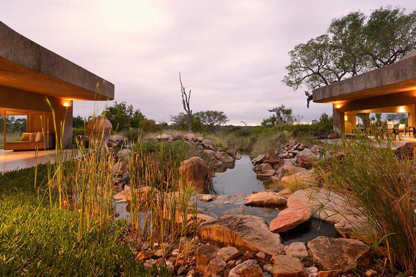 Sabi Sabi Earth Lodge 7