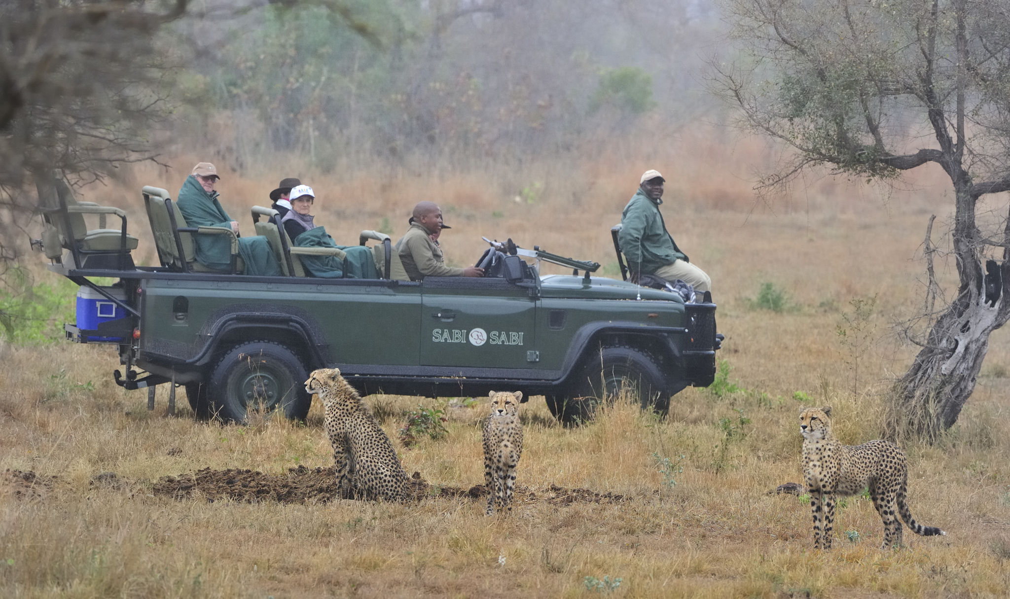Sabi Sabi Little Bush 45