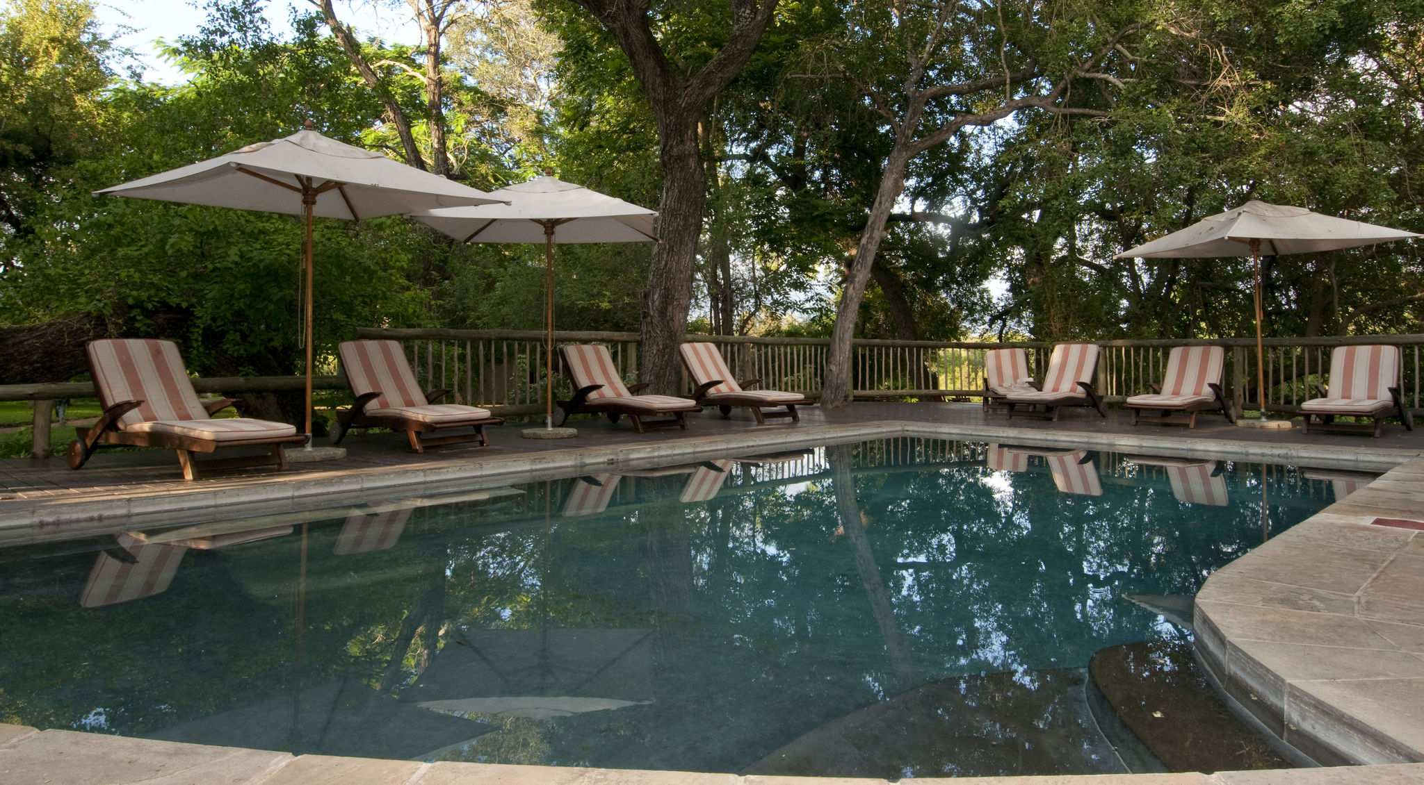 Sabi Sabi Selati Lodge 13