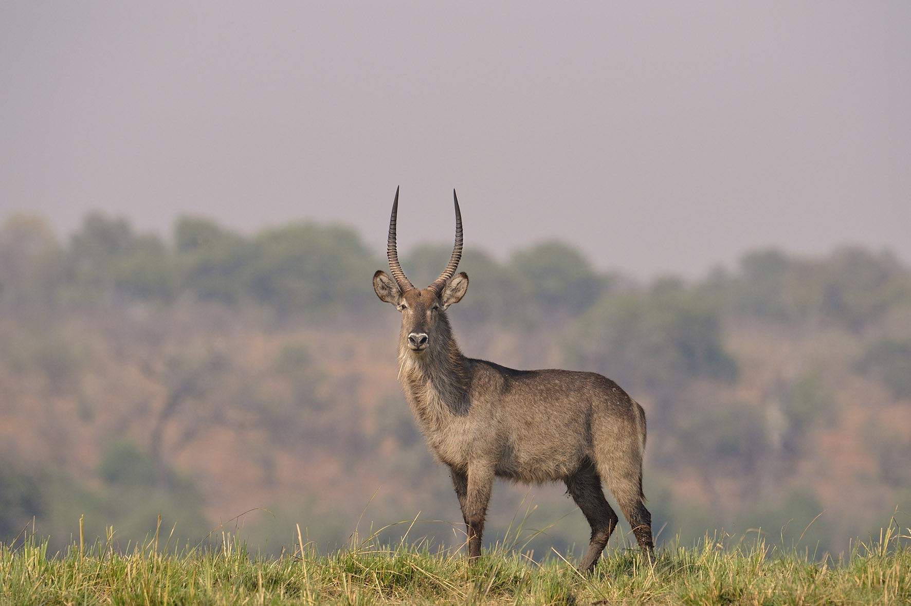 Sabi Sabi Selati Lodge 24