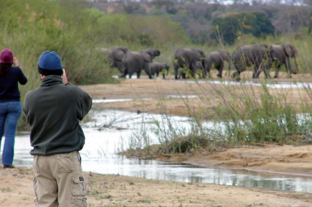 Savanna game reserve images SSL 9
