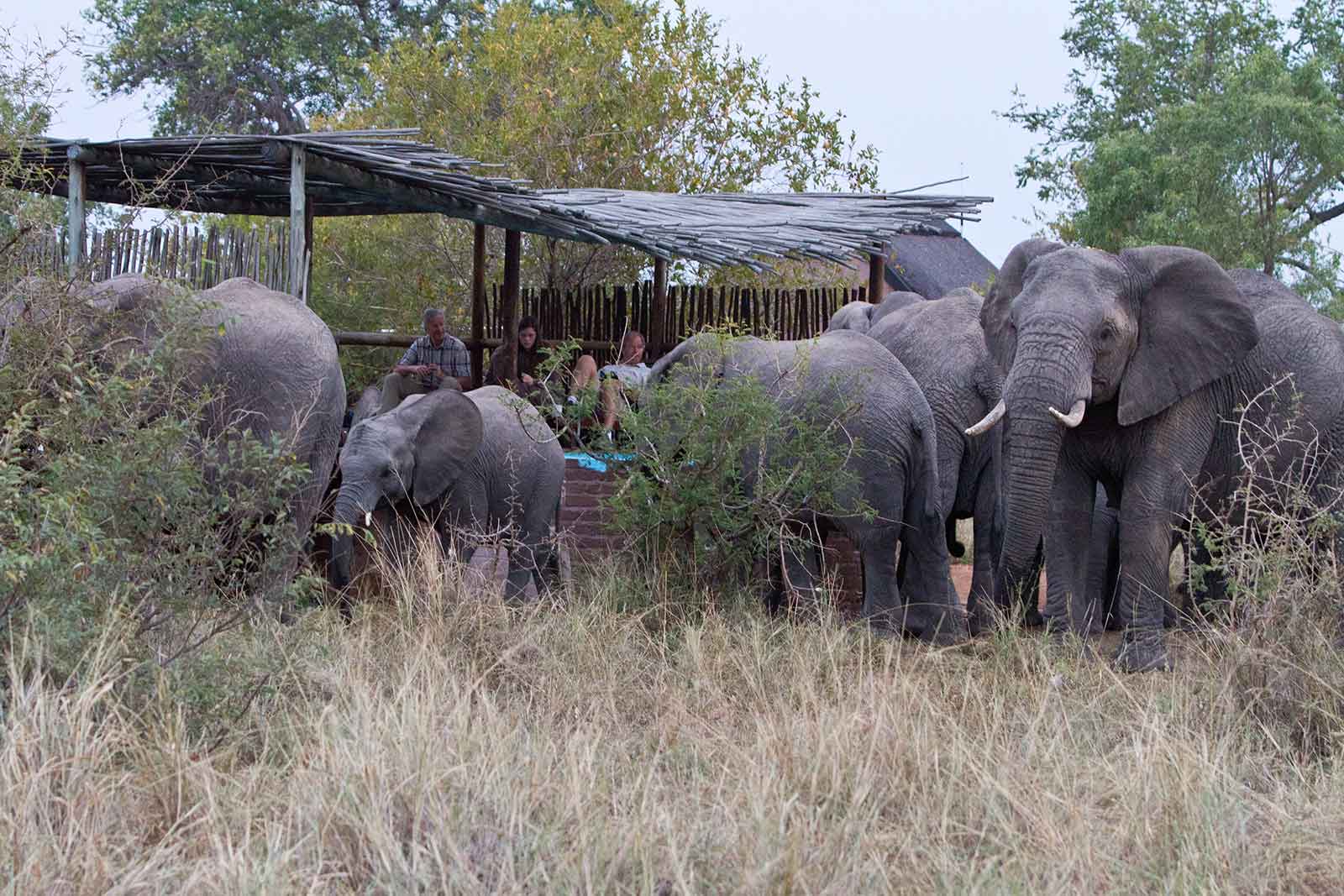 africa on foot lodge 14