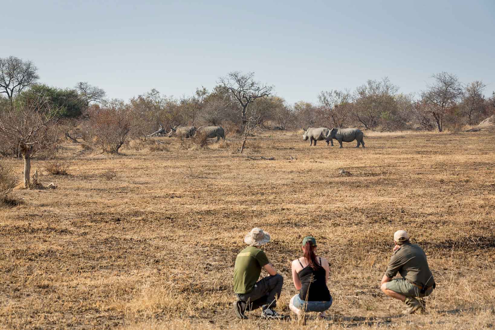 africa on foot lodge 30