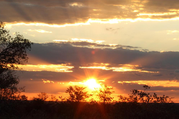 hamiltons luxury safari camp images 109
