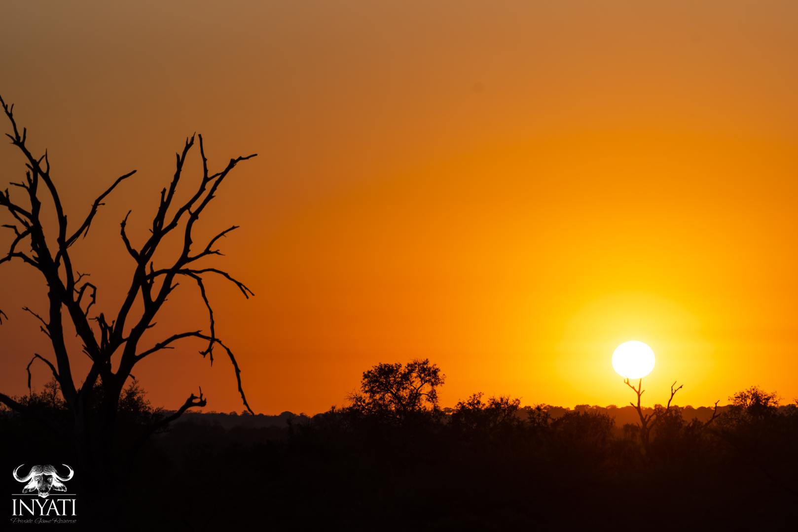 inyati game lodge reservations sabi sands lodges 1 1