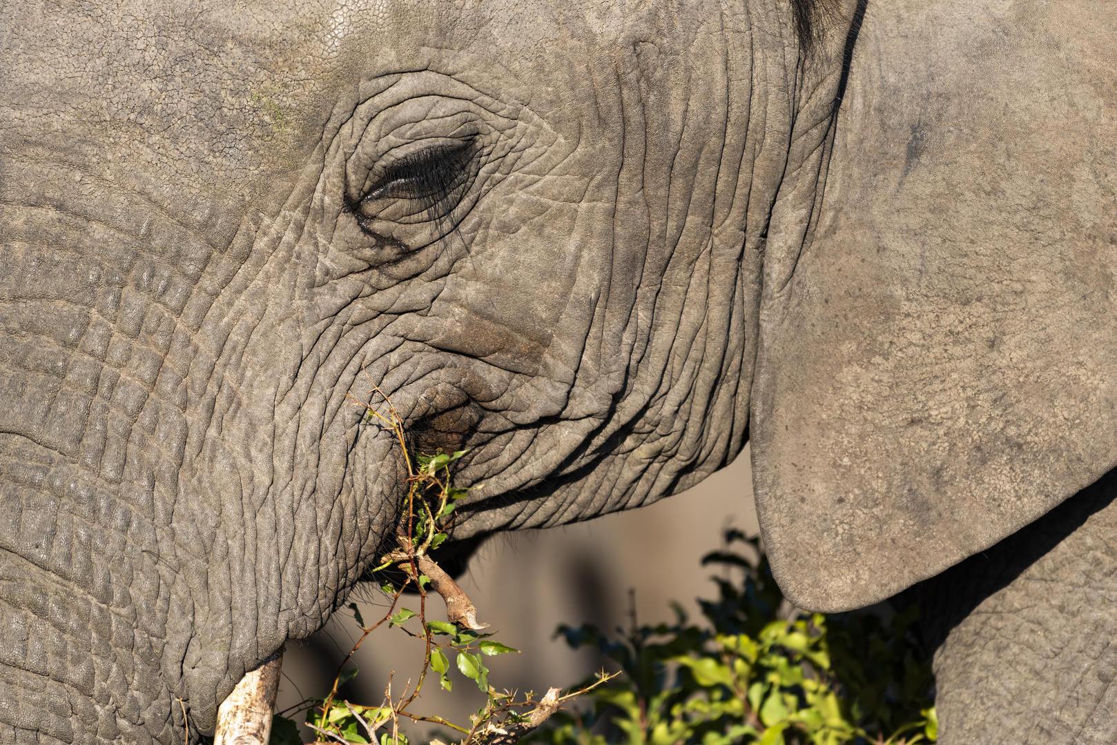 inyati game lodge reservations sabi sands lodges 62