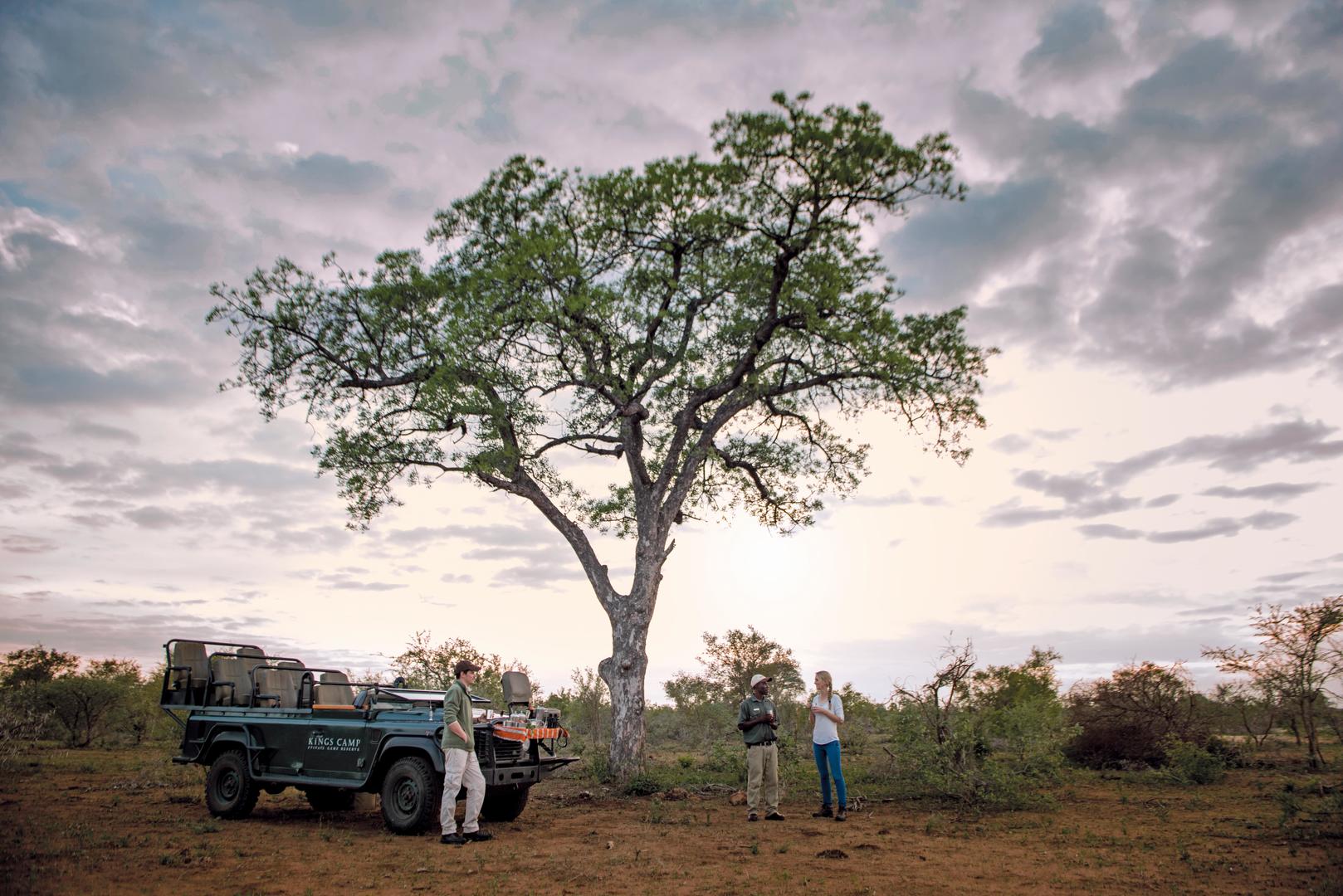 kings camp timbavati kruger national park 39
