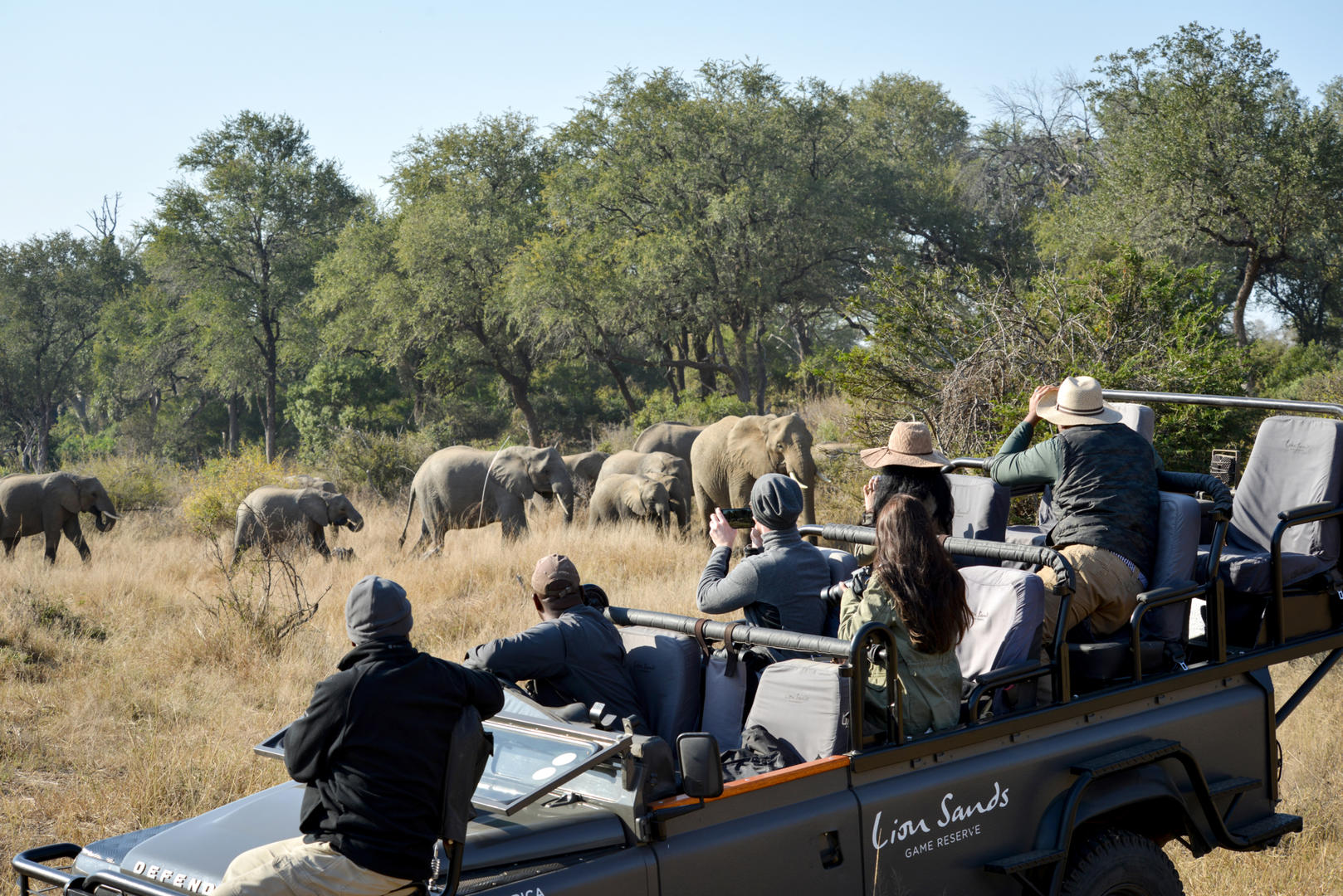 lion sands ivory lodge sabi sands lodges reservations 76