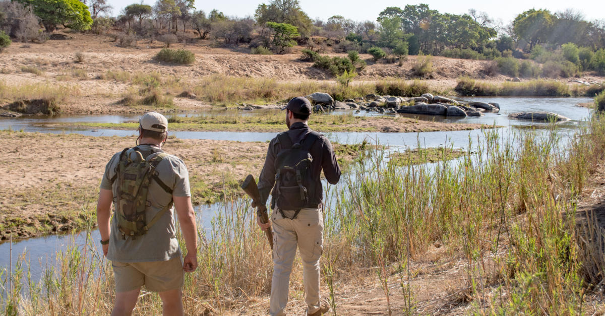lion sands narina lodge kruger national park 38