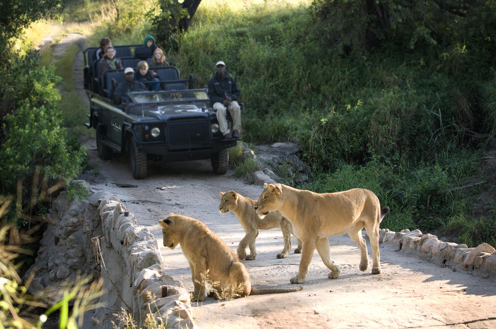 lion sands narina lodge kruger national park 44