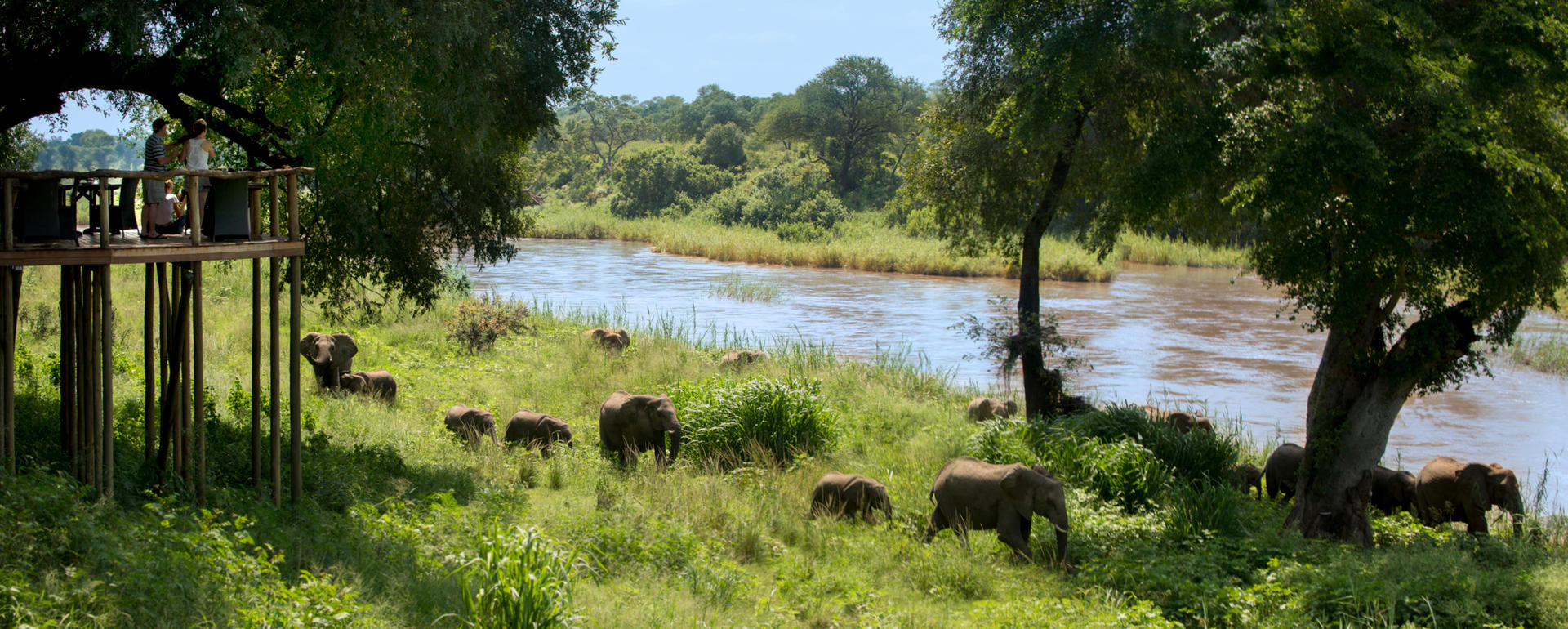 lion sands narina lodge kruger national park 46