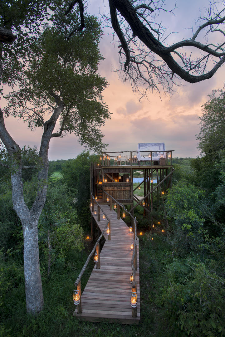 lion sands tinga lodge sabi sands lodges reservations 69