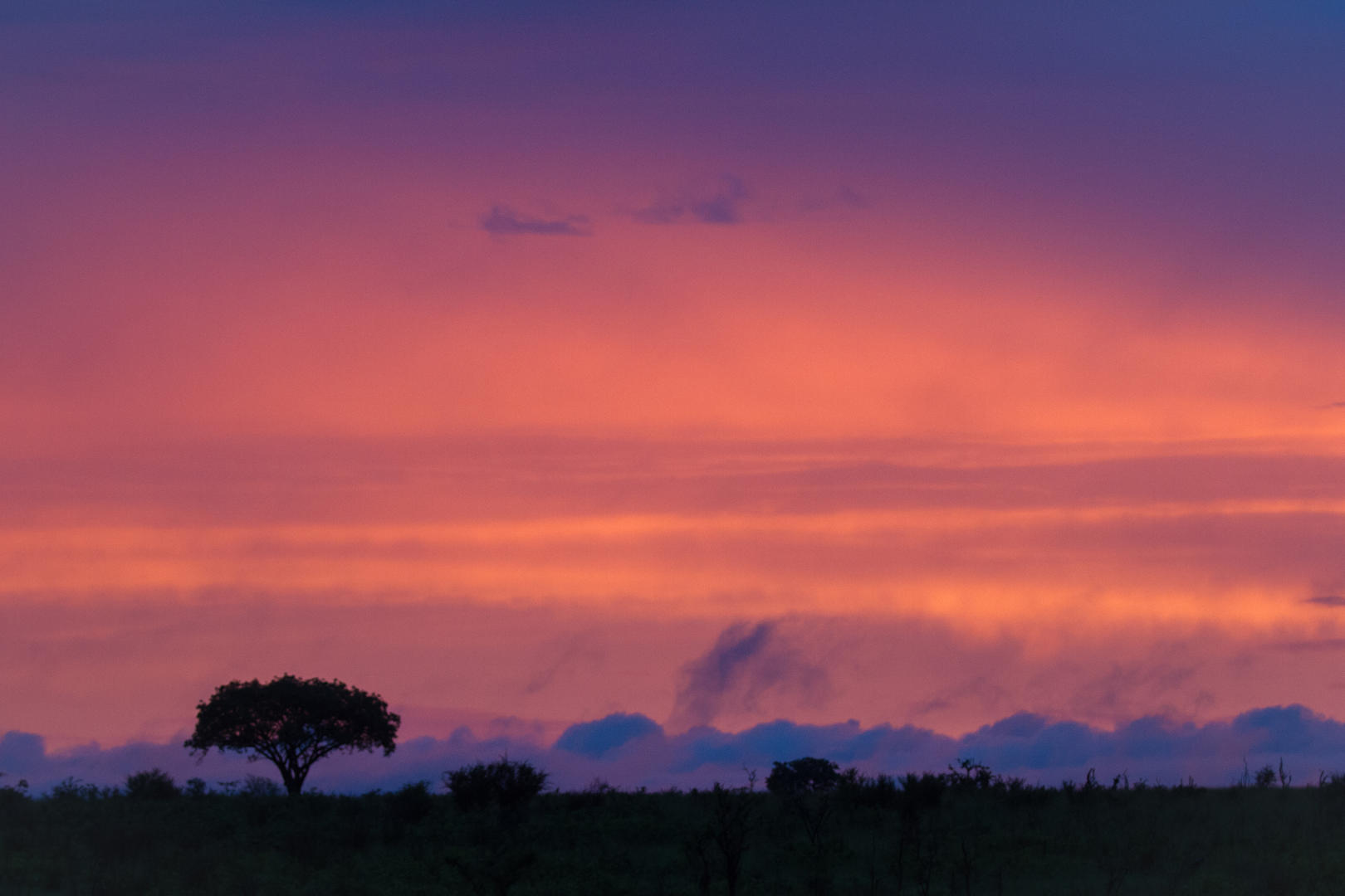 londolozi tree camp sabi sands lodges reservations 105