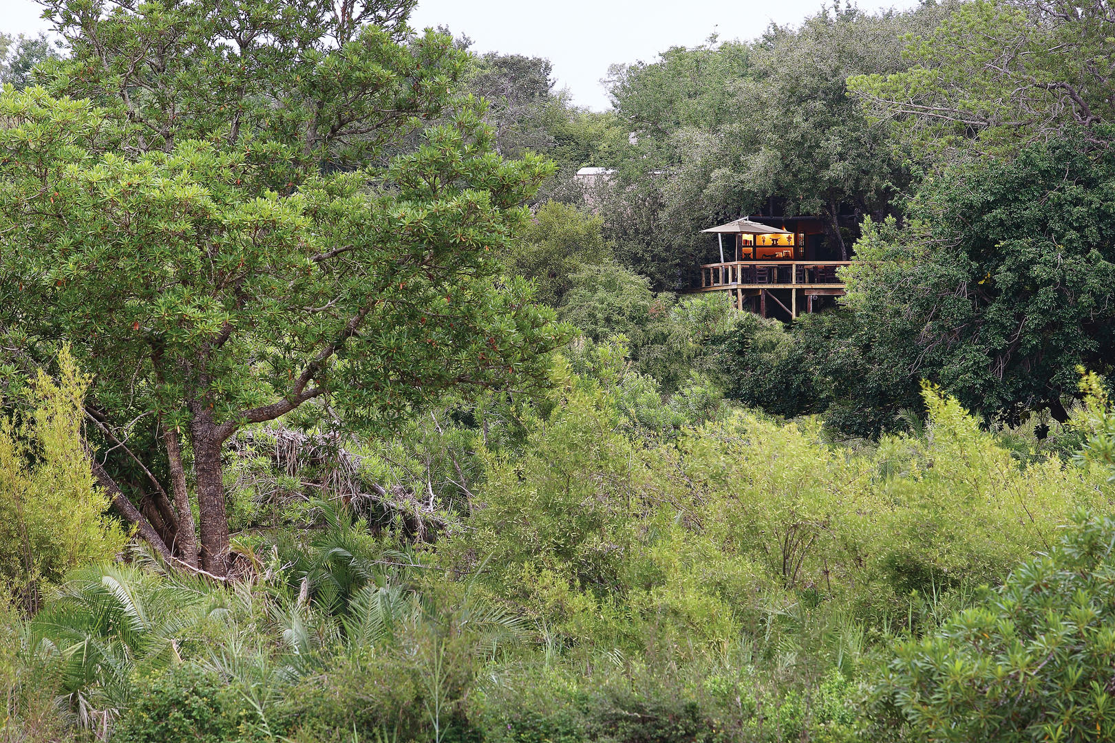 londolozi tree camp sabi sands lodges reservations 111