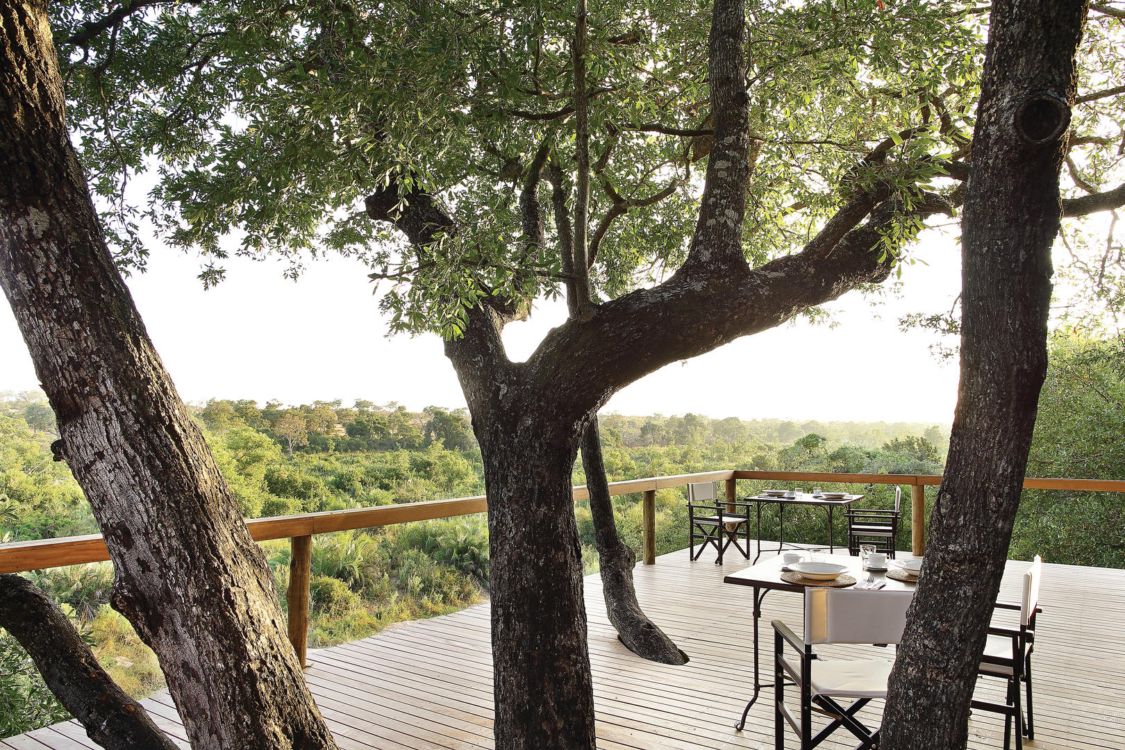 londolozi tree camp sabi sands lodges reservations 115