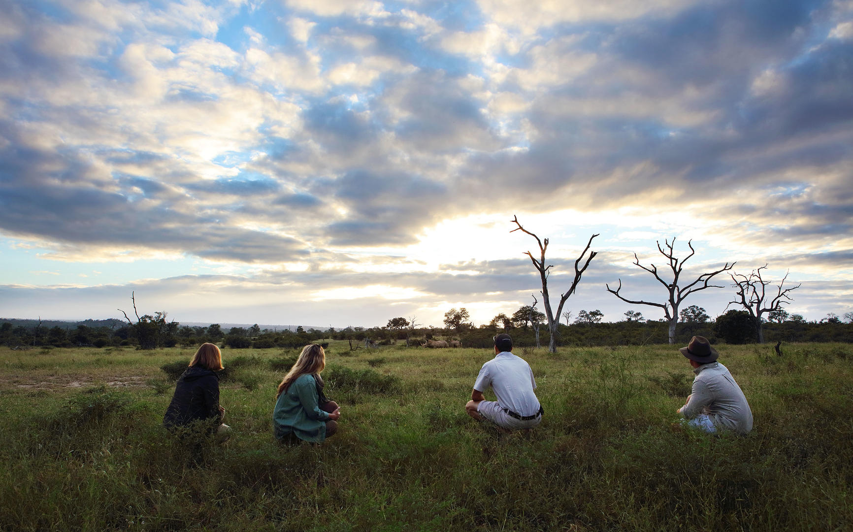 londolozi tree camp sabi sands lodges reservations 95