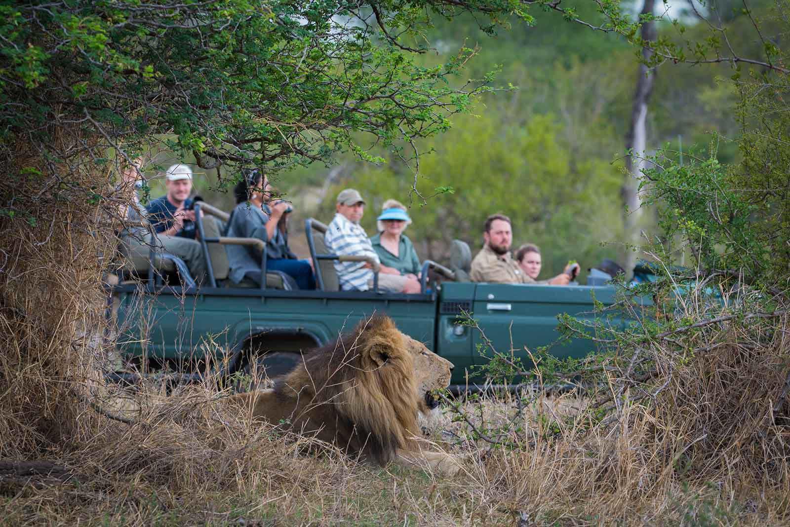 nthambo tree camp kruger national park 49