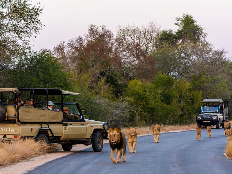 rhino post safaris 3