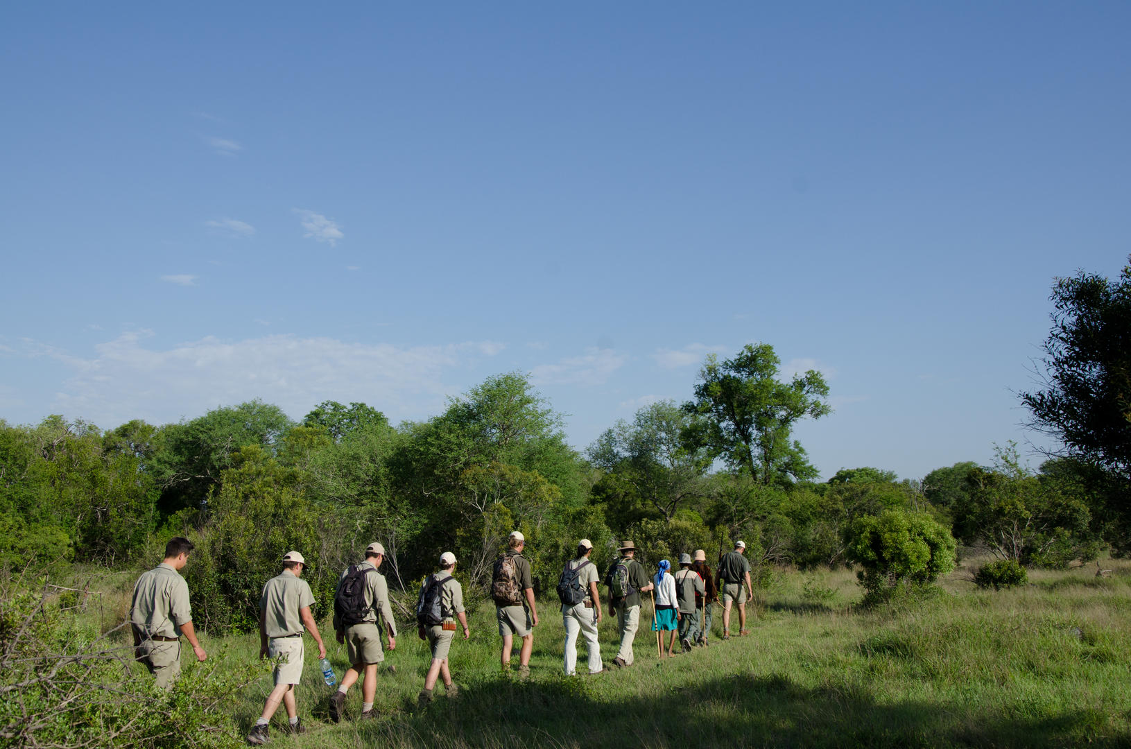 sabi sabi little bush camp sabi sands lodges reservations 35