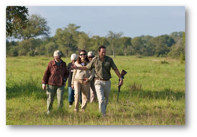 sabi sabi selati camp sabi sands bookings 1 1