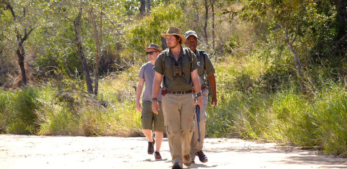 shindzela tented safari camp 7