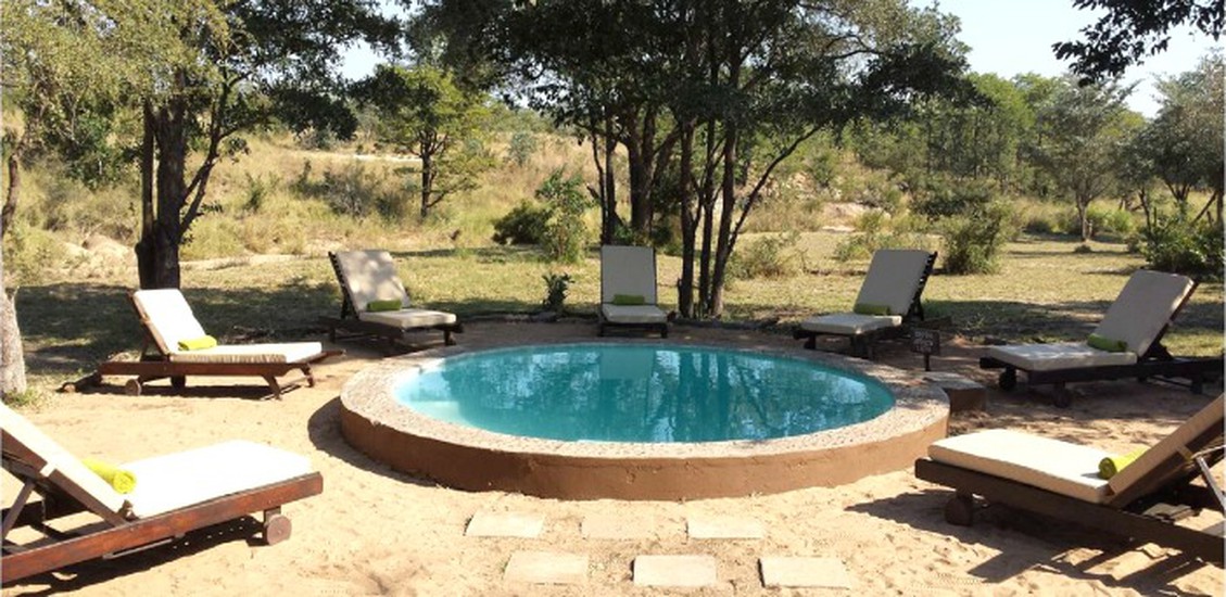 shindzela tented safari camp 8