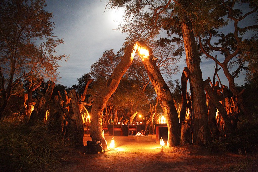 tintswalo safari lodge 2