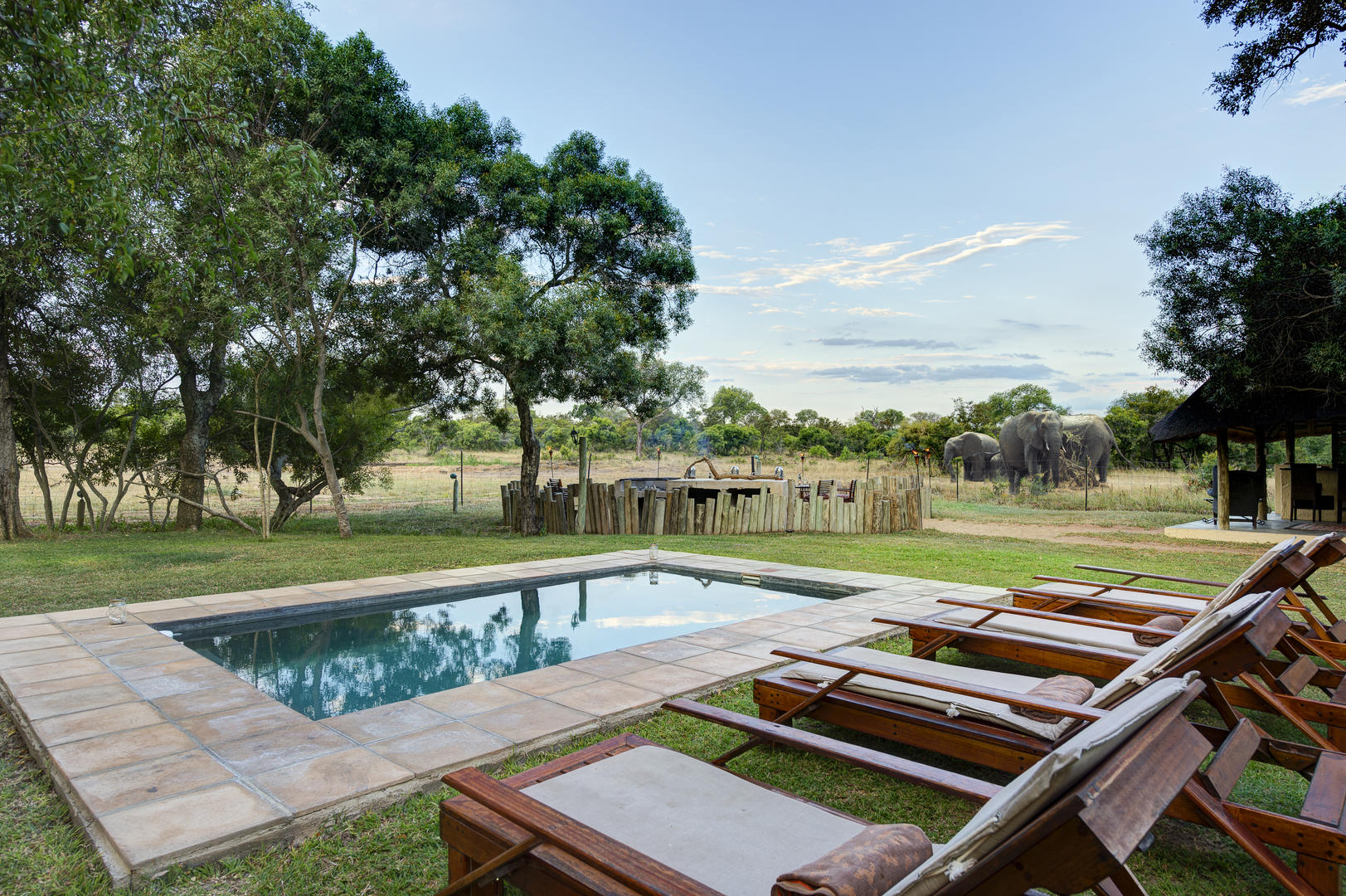 tintswalo safari lodge images 94