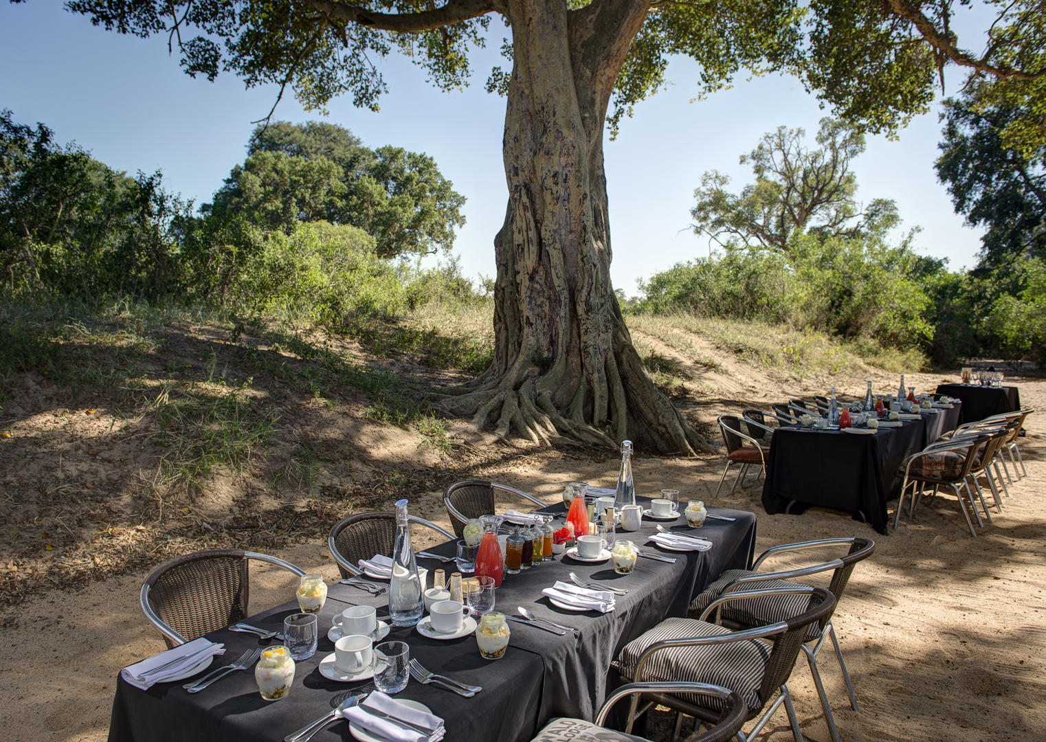 tintswalo safari lodge images 98