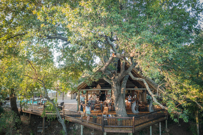 umkumbe bush lodge sabi sands images 1