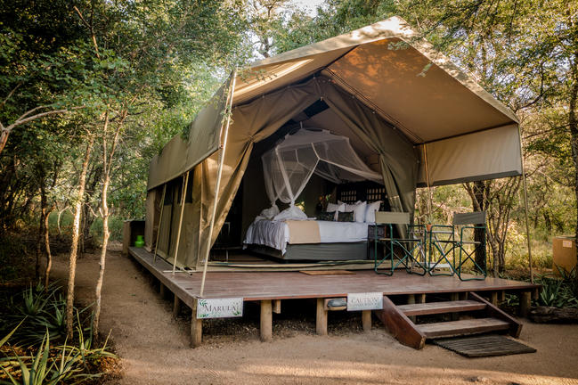 umkumbe bush lodge sabi sands images 103