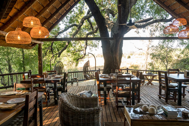 umkumbe bush lodge sabi sands images 12