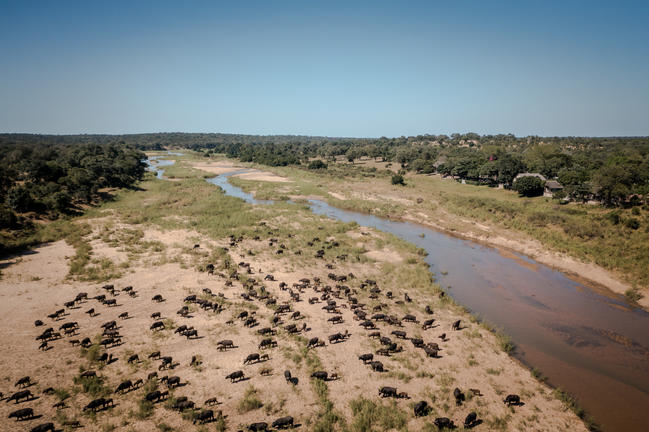 umkumbe bush lodge sabi sands images 2