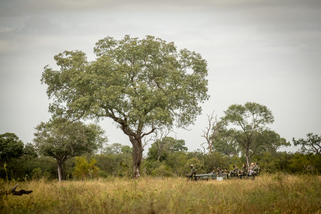 umkumbe bush lodge sabi sands images 20