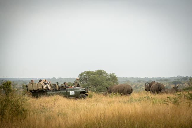 umkumbe bush lodge sabi sands images 23