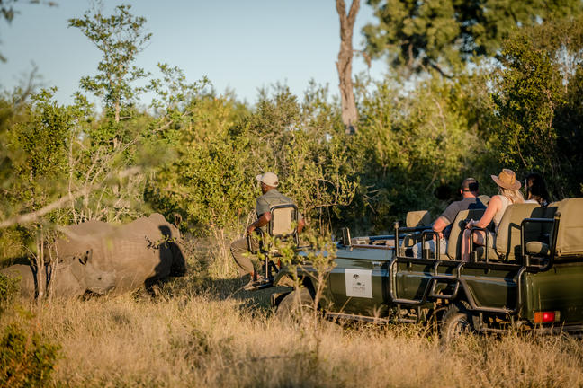umkumbe bush lodge sabi sands images 25