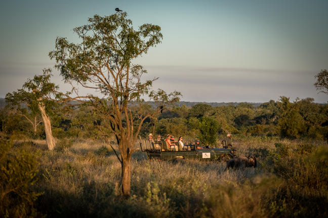 umkumbe bush lodge sabi sands images 26