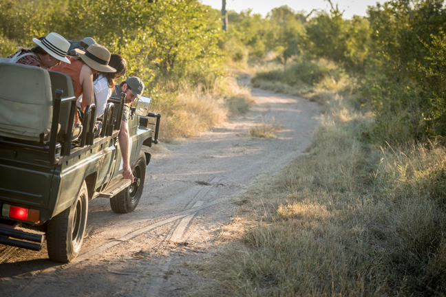 umkumbe bush lodge sabi sands images 29