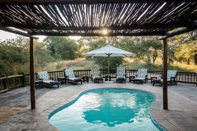 umkumbe bush lodge sabi sands images 4