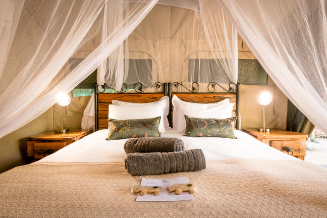 umkumbe bush lodge sabi sands images 41