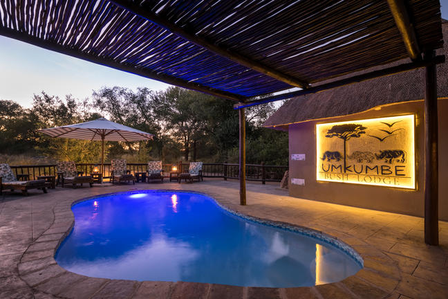 umkumbe bush lodge sabi sands images 71