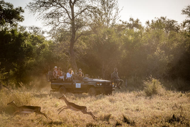 umkumbe bush lodge sabi sands images 76