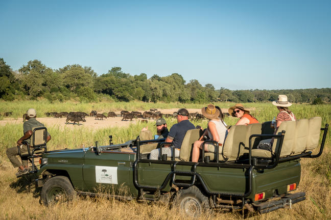 umkumbe bush lodge sabi sands images 82